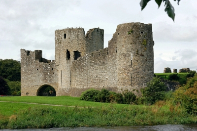 Dunkle Zärtlichkeit