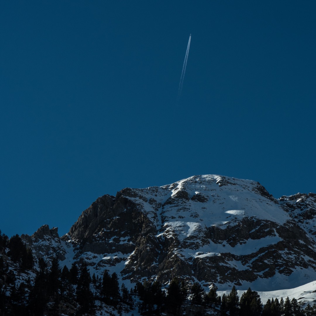 Eine tierisch gute Familie