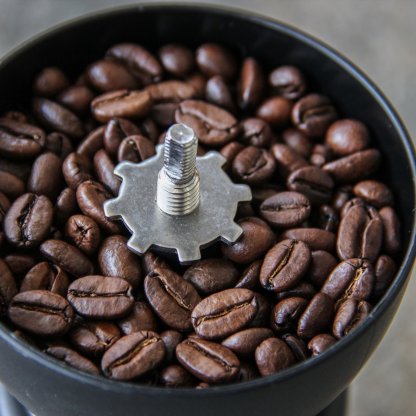 Figaro im Hamsterrad